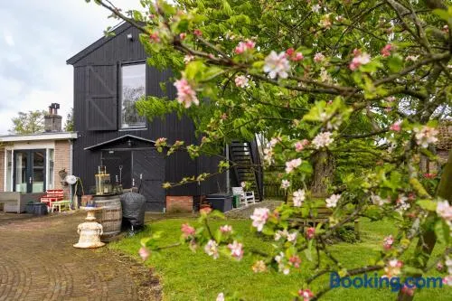 Studio Hooischuur Alkmaar/Bergen - Image 1