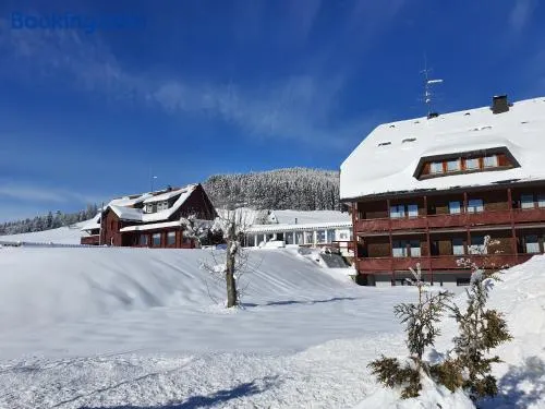 B Und B Titisee Hotel Sonnenmatte Nahe Badeparadies - Image 1