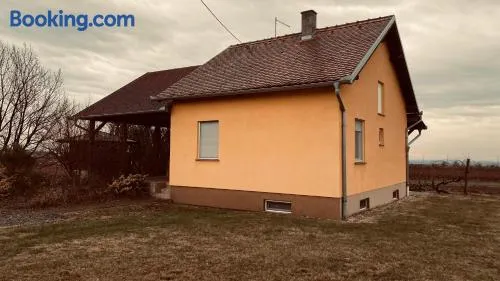 KUĆA ZA ODMOR BRZICA ERDUT - Image 1