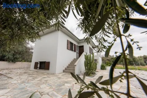 The Olive Home - Image 1