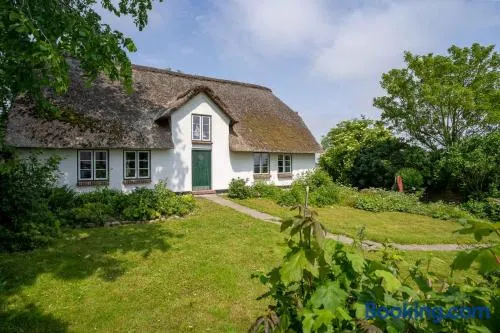 HYGGE-unter-Reet - Image 1