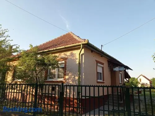 Hattyú vendégház Poroszló - Image 1