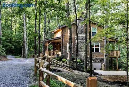 Cabin at Walland Forest - Image 1