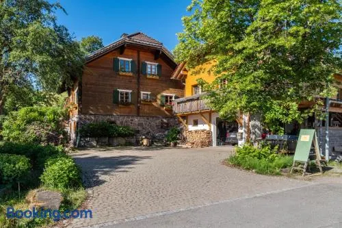 Blick in den Garten - Image 1