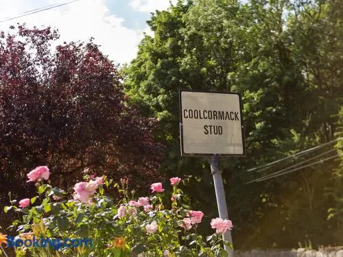 Coolcormack Stud B&B - Image 1