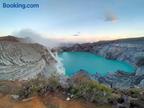 Javalindra Homestay Tour and Travel - Image 1