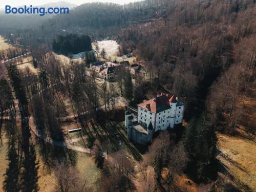 Snežnik castle estate - Image 1