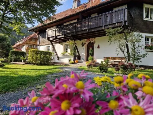 Altes Zollhüsli - Image 1