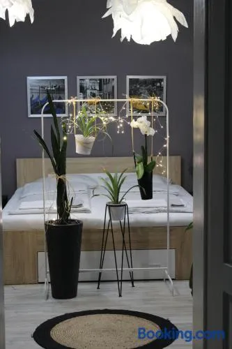 Viky Apartment - Image 1