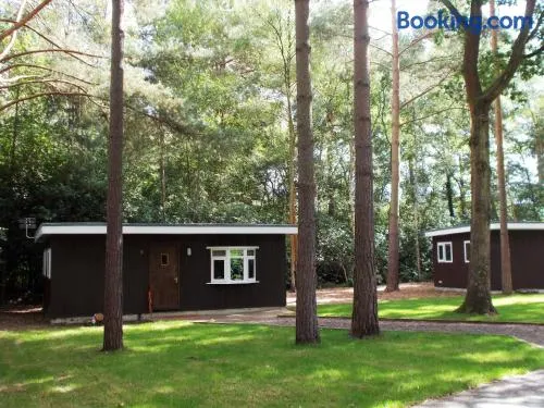 California Chalet & Touring Park - Image 1
