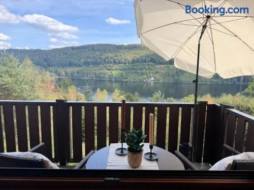 Seeblick Panorama Titisee - Image 1