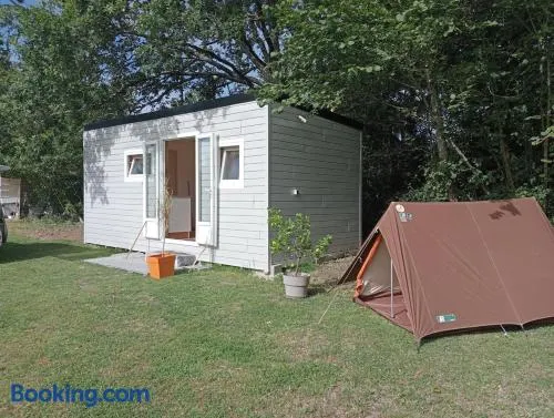 Tiny house sous le chene - Image 1
