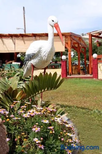 Kos Island Studios - Image 1