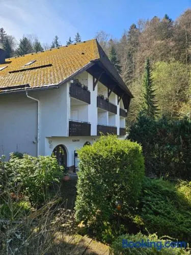 Triberg Falls Hideaway - Apartment 35 - Image 1