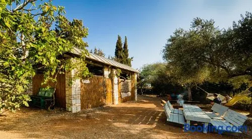 Back to Nature Camping & Huts - Image 1