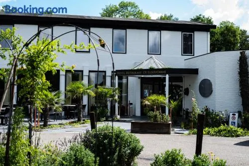 Budget Hostel De Elderschans - Image 1