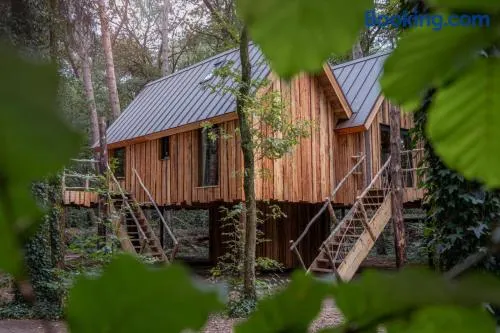 New Unique Treehouses with hot tub in Oisterwijk - Image 1