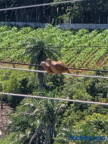 Chácara Duquinha - Image 1
