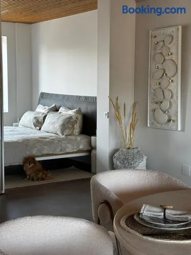 The living gallery - Image 1