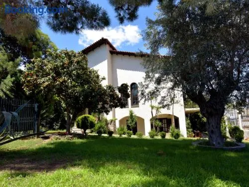Ares Garden House - Nea Moudania Halkidiki - Image 1