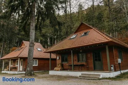 Tusnad Camping - Image 1