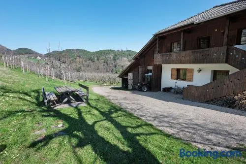 Regalterhof Eppan - Image 1