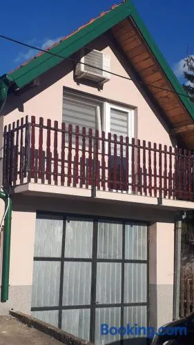 Apartman Dunja Banja Vrdnik - Image 1