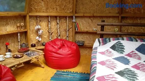 Dome Bungalow Niedras Jurmala - Image 1