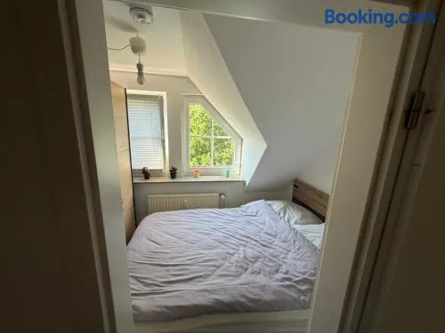 Modernes gemütliches Studio Zimmer - Image 1