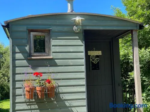 Shepherds Hut at Rhyd y Galen - Image 1