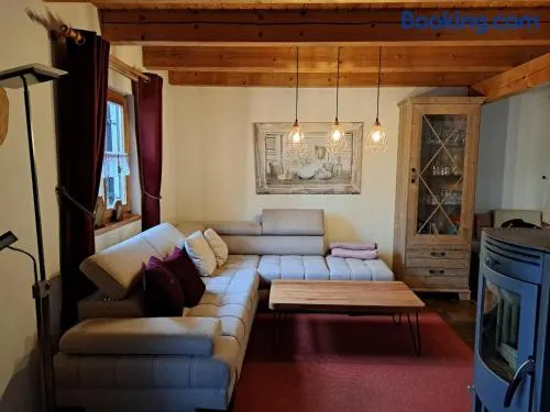 Ferienhaus Walter im Waldferiendorf - Image 1