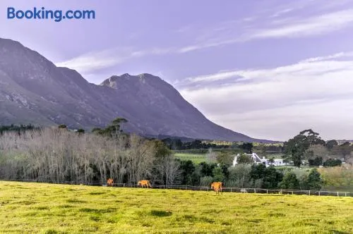 Hemel 'N Aarde Stud - Image 1