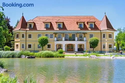 Almtalhotel Appartements in Pettenbach - Image 1