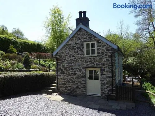 Hafannedd Cottage - riverside views - Image 1