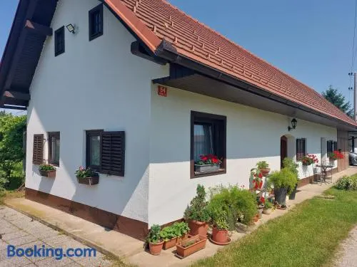Apartma Vida - Image 1