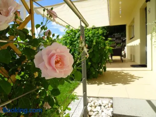 Schöne 2-Zimmerwohnung mit Gartensitzplatz, nahe Sursee - Image 1