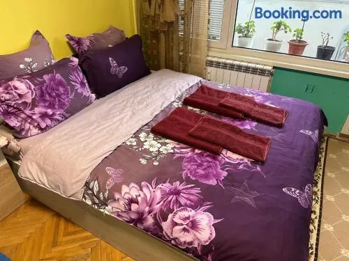 Sleep and fly, The studio apartment, Small bathroom, Balcony - Image 1