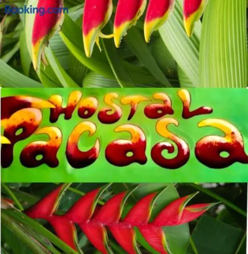 PaCasa Hostel - Image 1