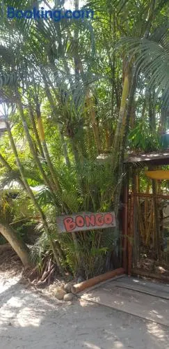 Bongosurfcamp - Image 1