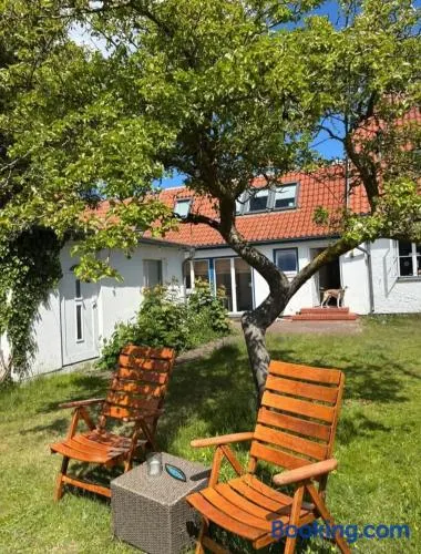 Ahoi Zingst - Image 1