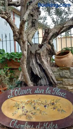 L'olivier sur la place - Image 1