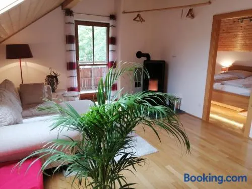 Appartement Moni / Golf & Ski - TOP 9 - Image 1