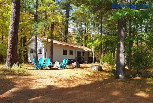 The Aspen Cabin - Image 1