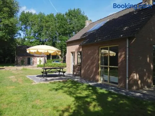 Forest VIP-bungalow at Groene Heuvels - Image 1