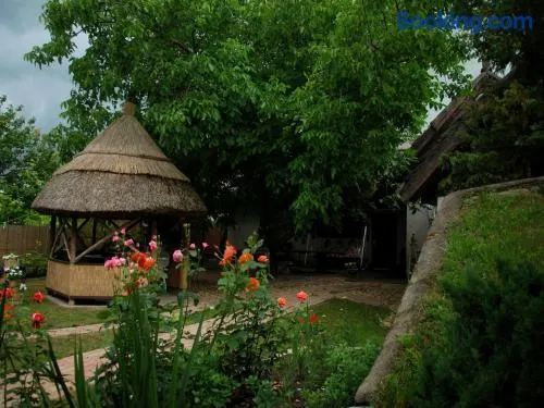 Natura Vendégház - Image 1
