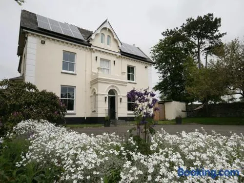 Caemorgan Mansion - Image 1