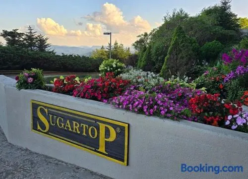Sugar Top Sky Blue Condo 2 Bedrooms 2 Bathrooms - Image 1