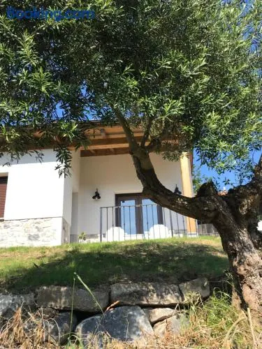 LA CASINA DEL OLIVO - Image 1