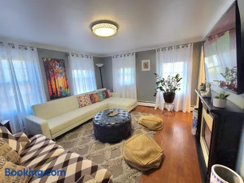 2 Bedrooms free parking South of Boston Quincy - Park view - Image 1