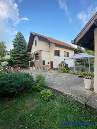 Simsir villa Novi Sad wifi - Image 1